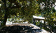 Mangroves and Jetty